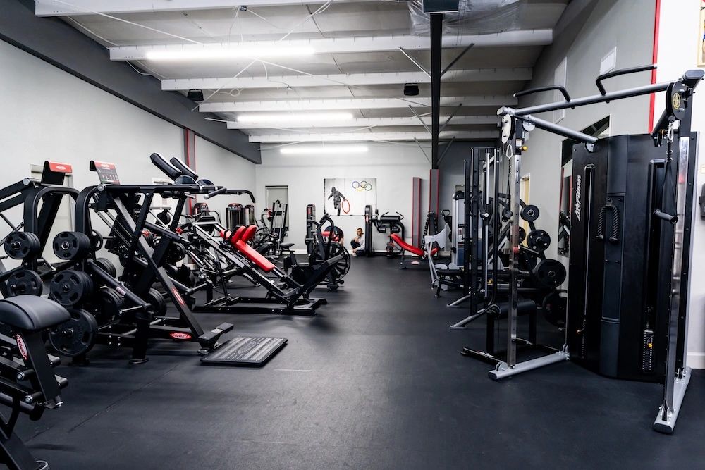 Panatta plate-loaded equipment beneath the Olympic rings