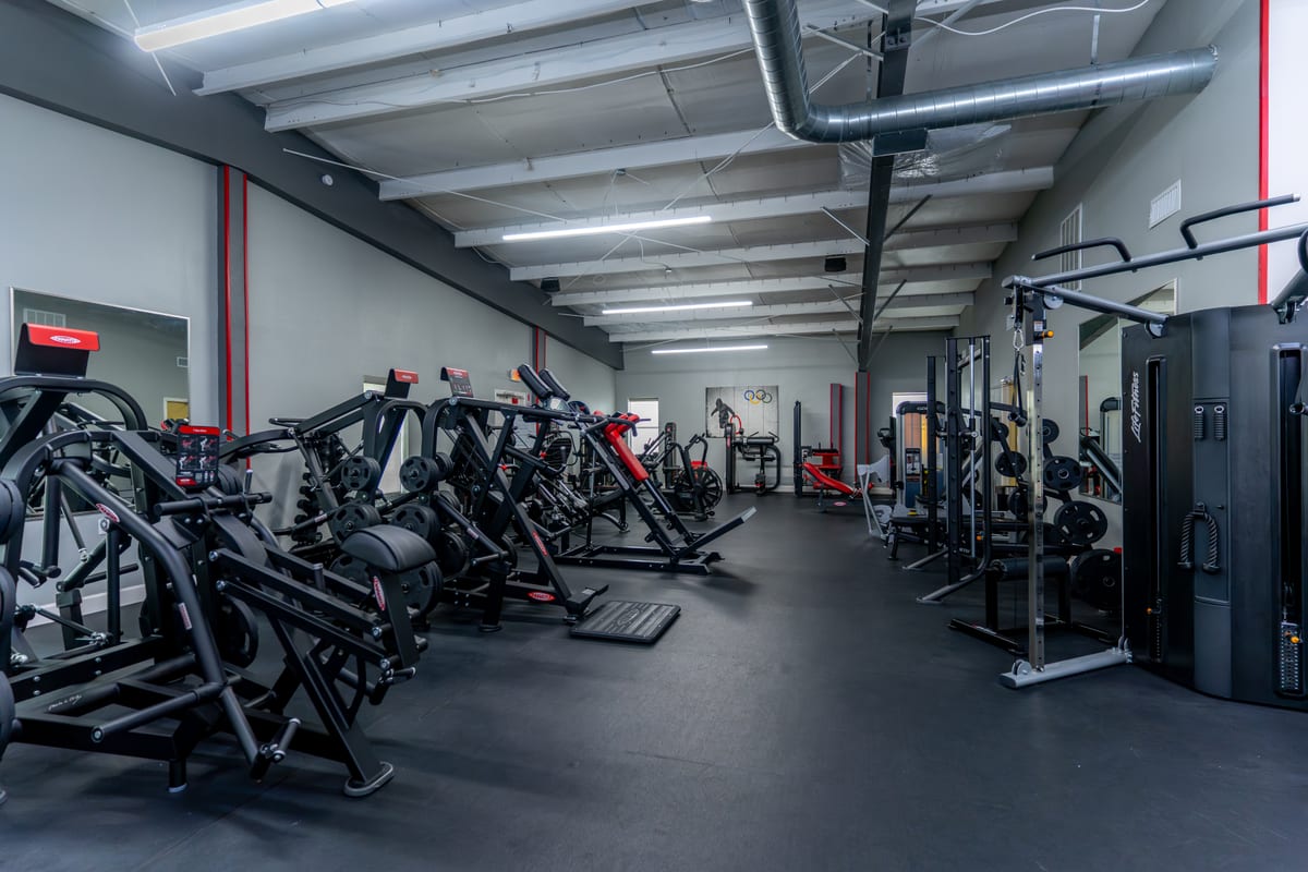 The Wellness Elite Fitness strength floor — rows of Panatta, Atlantis, and Watson stations