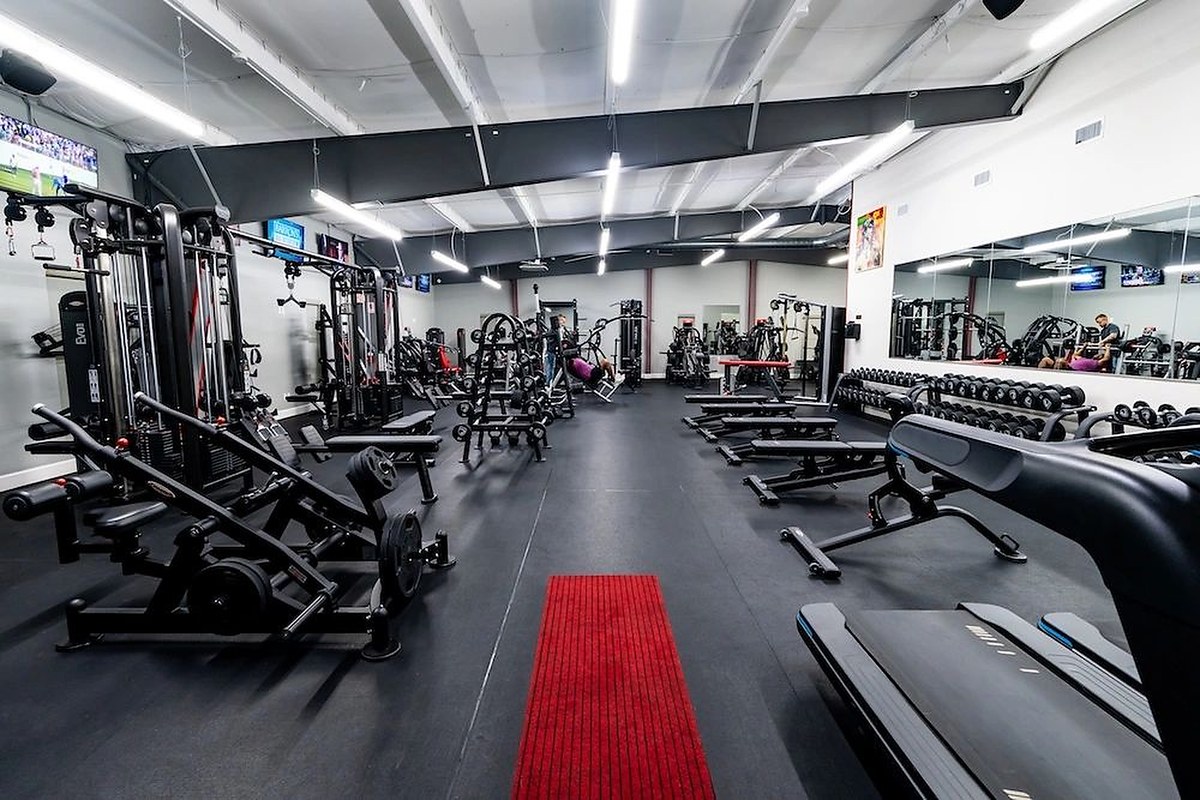 The 24-hour gym floor at Wellness Elite Fitness in Friendswood, TX — Panatta, Atlantis, Watson, Evofit, DRAX